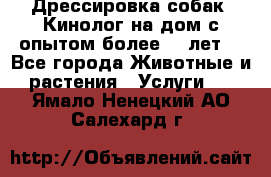 Дрессировка собак (Кинолог на дом с опытом более 10 лет) - Все города Животные и растения » Услуги   . Ямало-Ненецкий АО,Салехард г.